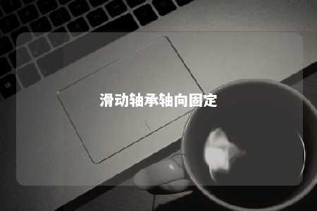 滑动轴承轴向固定 